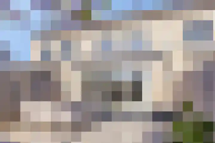 Polkampen 4 Bunschoten-Spakenburg thumbnail 41