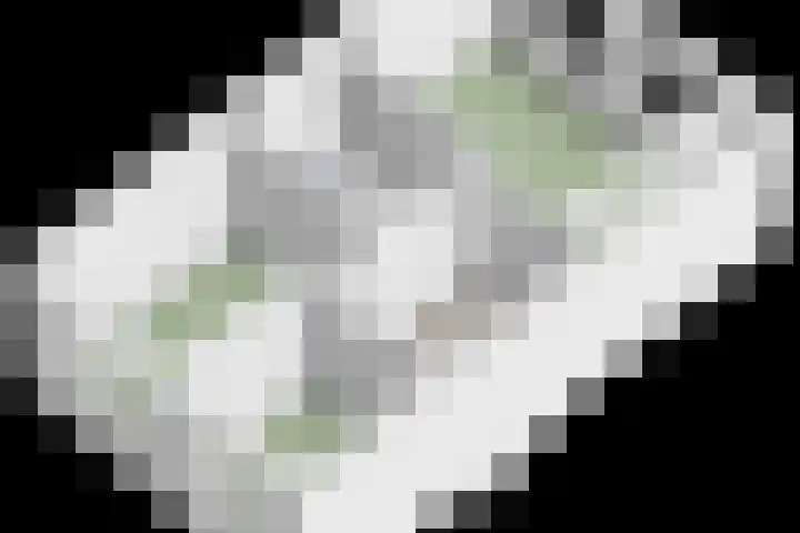 Polkampen 4 Bunschoten-Spakenburg thumbnail 50