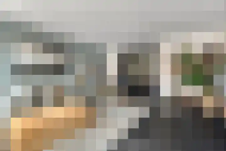 Polkampen 9 Bunschoten-Spakenburg thumbnail 12