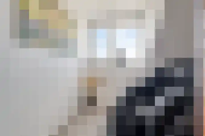 Polkampen 9 Bunschoten-Spakenburg thumbnail 37