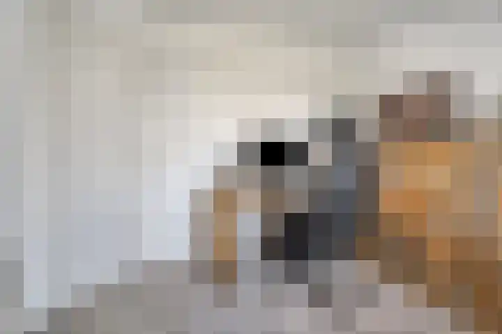 Polkampen 9 Bunschoten-Spakenburg thumbnail 39