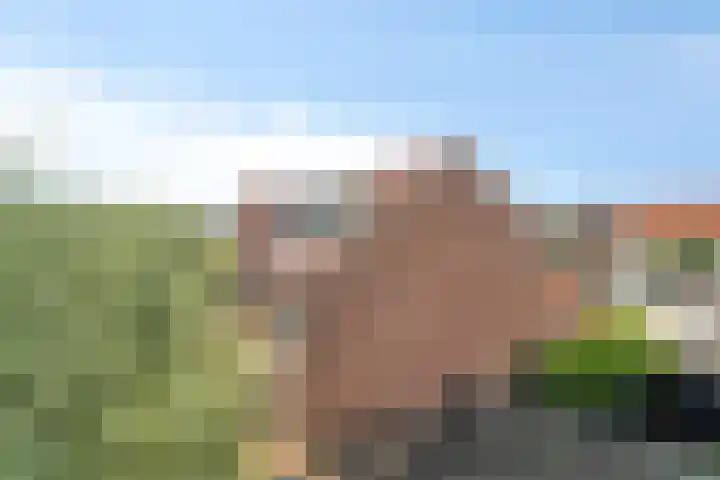 Polkampen 9 Bunschoten-Spakenburg thumbnail 4