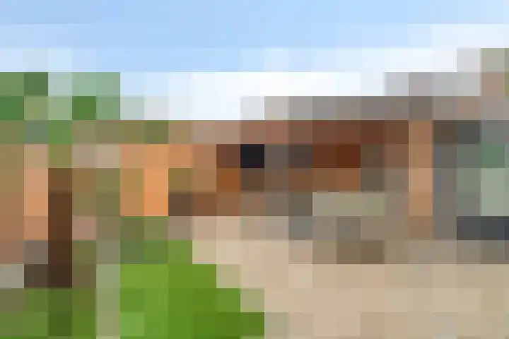 Polkampen 9 Bunschoten-Spakenburg thumbnail 45