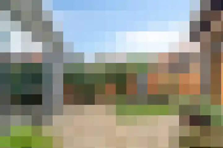 Polkampen 9 Bunschoten-Spakenburg thumbnail 49