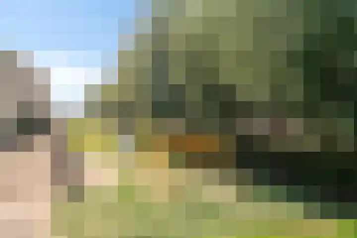Polkampen 9 Bunschoten-Spakenburg thumbnail 56