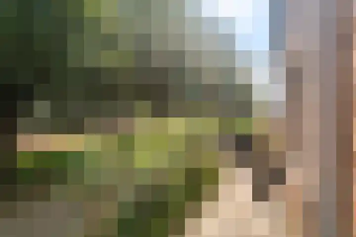 Polkampen 9 Bunschoten-Spakenburg thumbnail 57