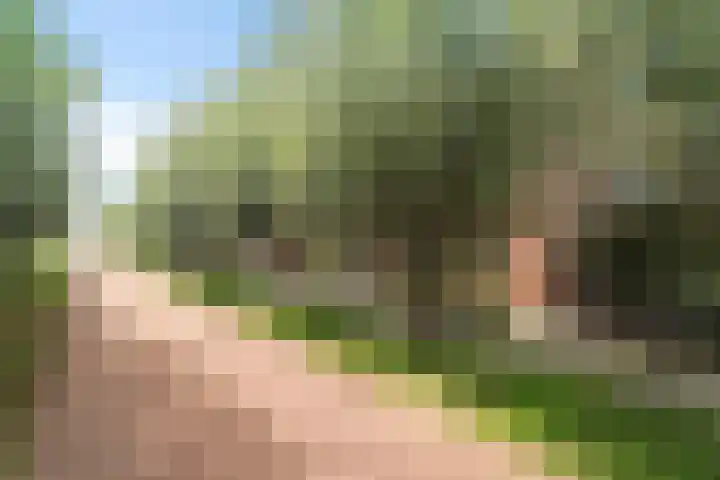 Polkampen 9 Bunschoten-Spakenburg thumbnail 58