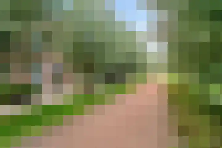 Polkampen 9 Bunschoten-Spakenburg thumbnail 6