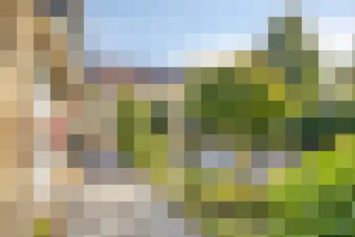 Polkastraat 10 Apeldoorn thumbnail 15