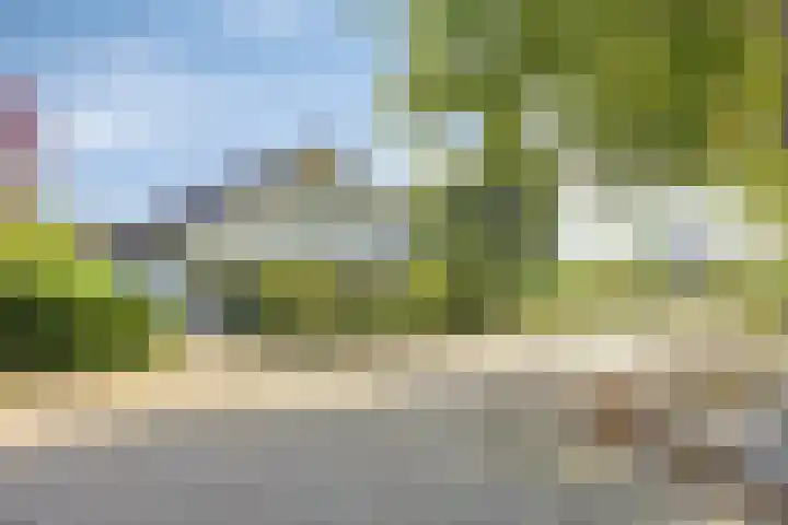 Polkastraat 10 Apeldoorn thumbnail 32