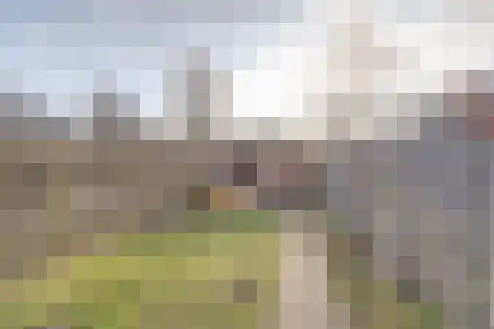 Polkastraat 13 Venray thumbnail 4