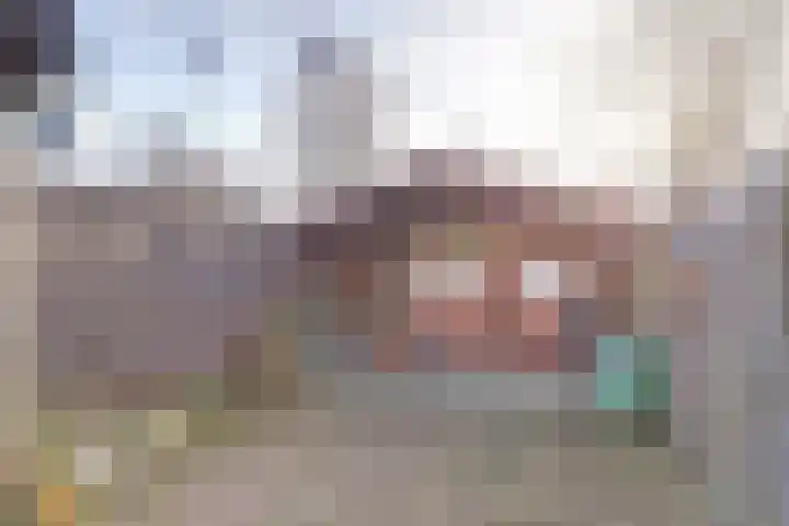 Polkastraat 13 Venray thumbnail 5