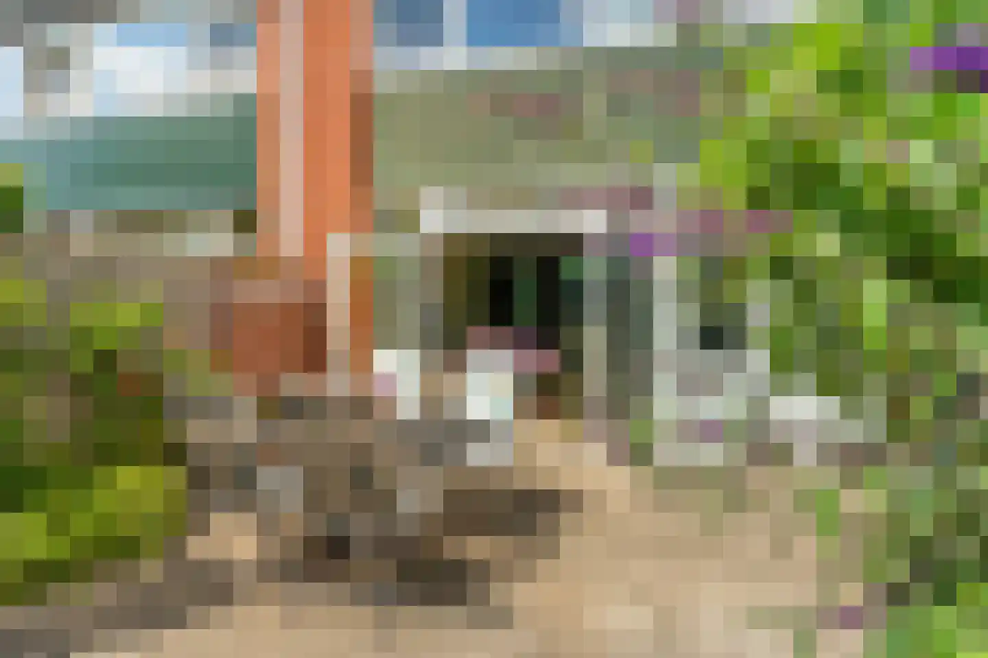 Polkastraat 19 Nijmegen thumbnail 29