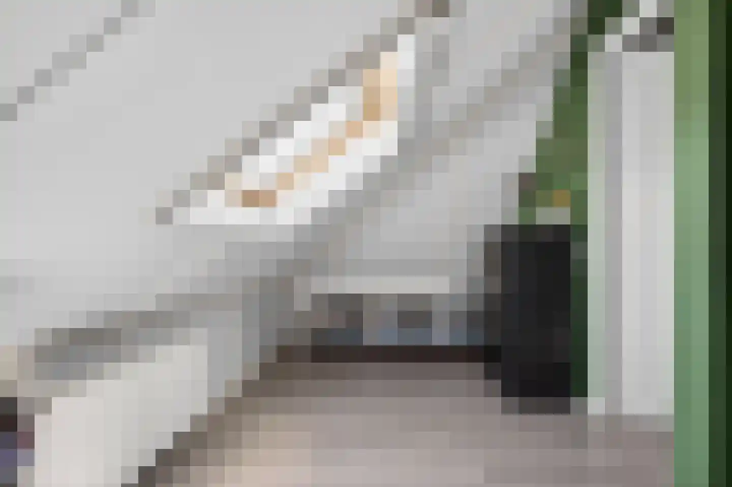 Polkastraat 39 Apeldoorn thumbnail 33