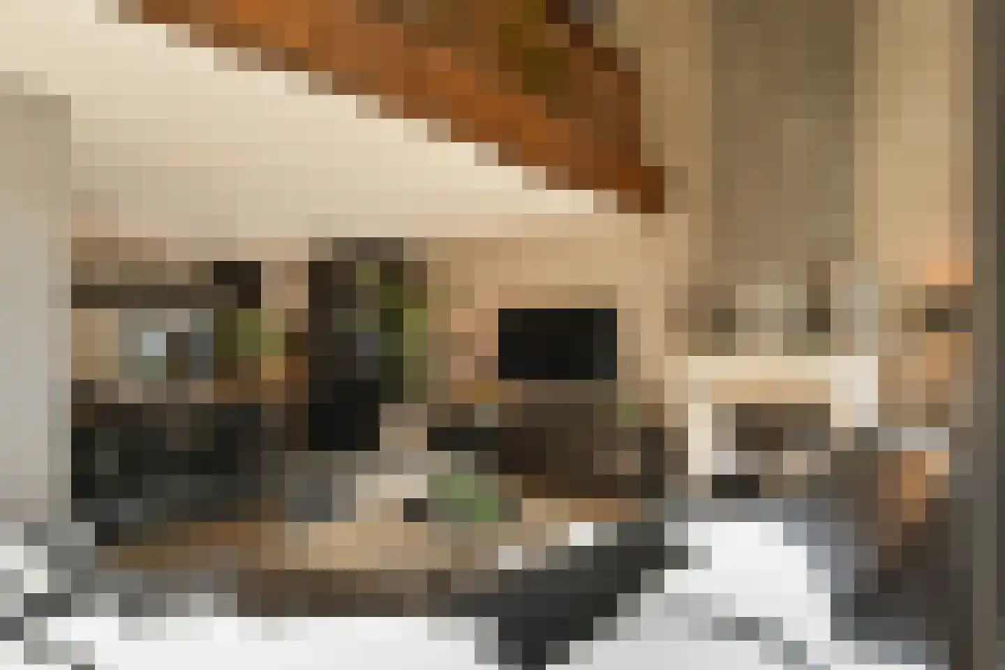 Pollaertshof 13 Grathem thumbnail 10