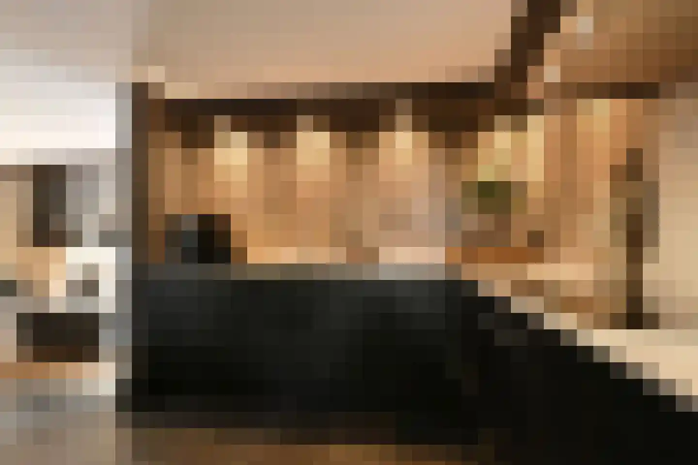 Pollaertshof 13 Grathem thumbnail 11