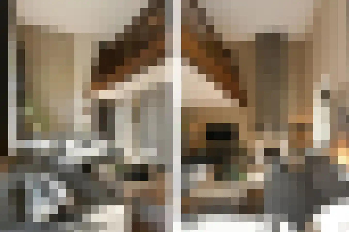 Pollaertshof 13 Grathem thumbnail 12