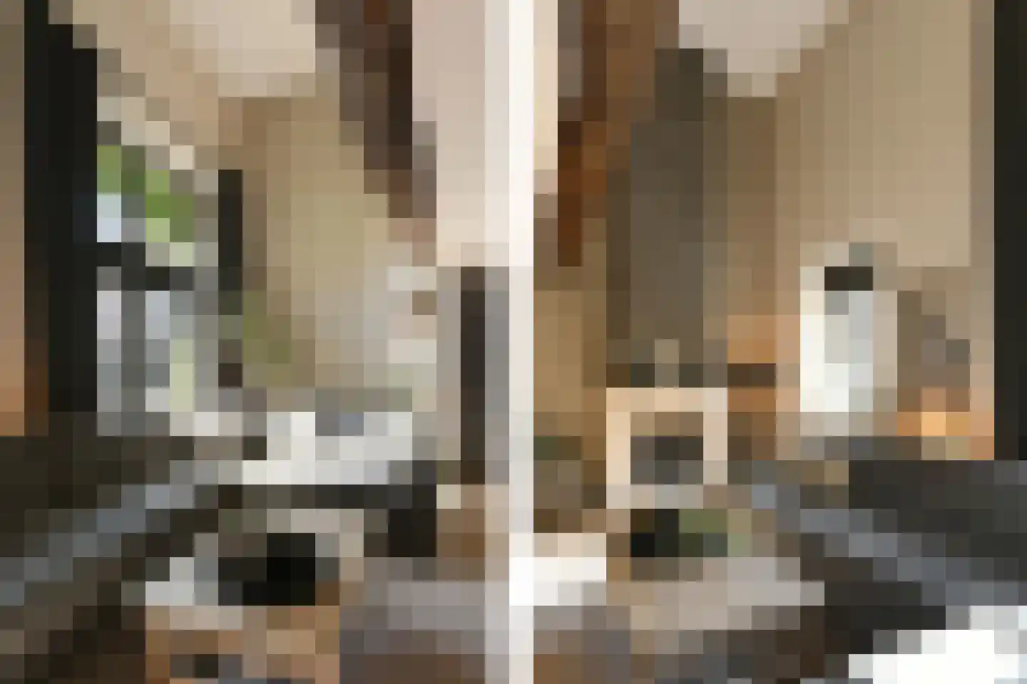 Pollaertshof 13 Grathem thumbnail 16
