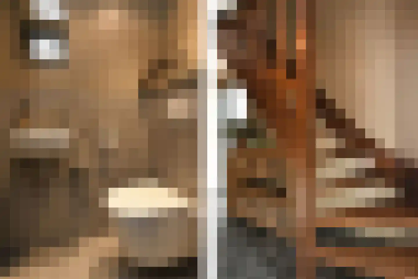 Pollaertshof 13 Grathem thumbnail 17