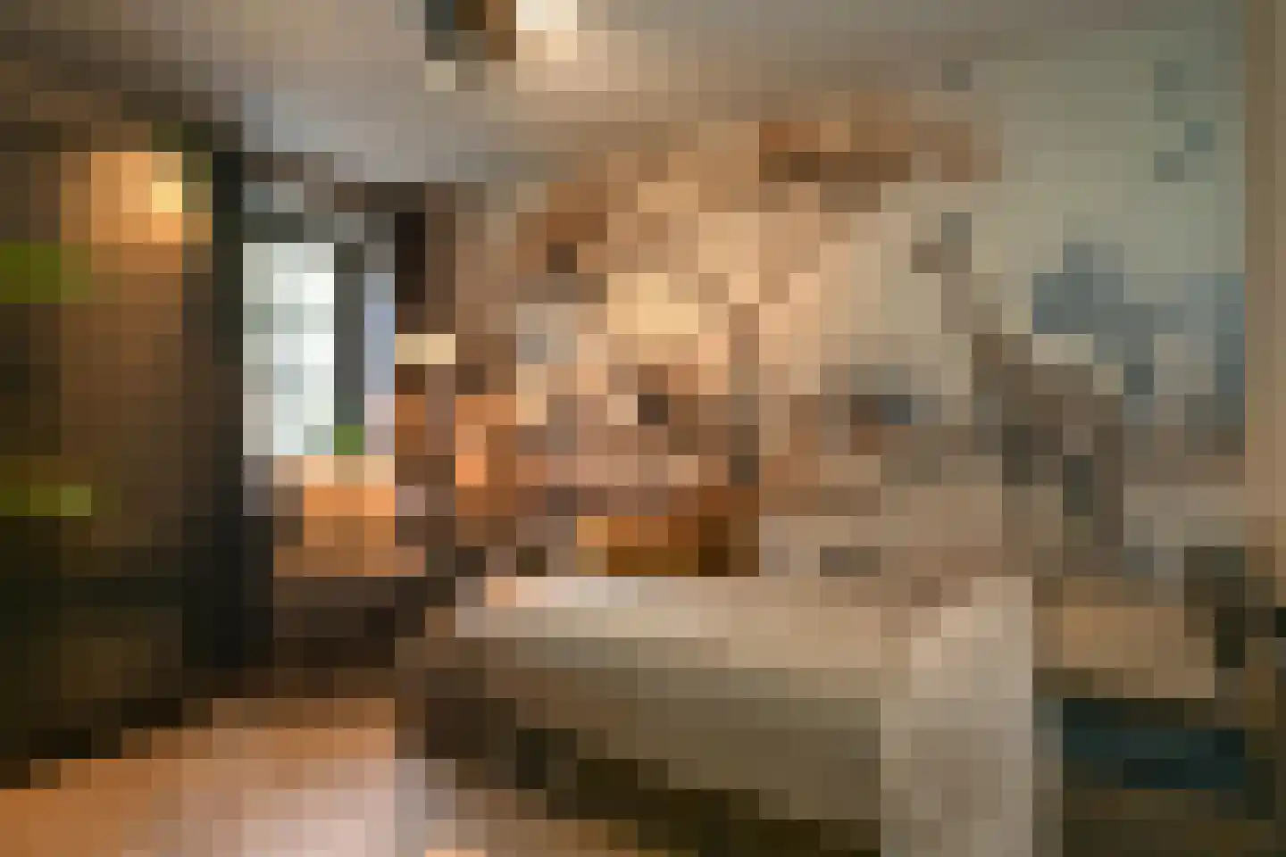Pollaertshof 13 Grathem thumbnail 18