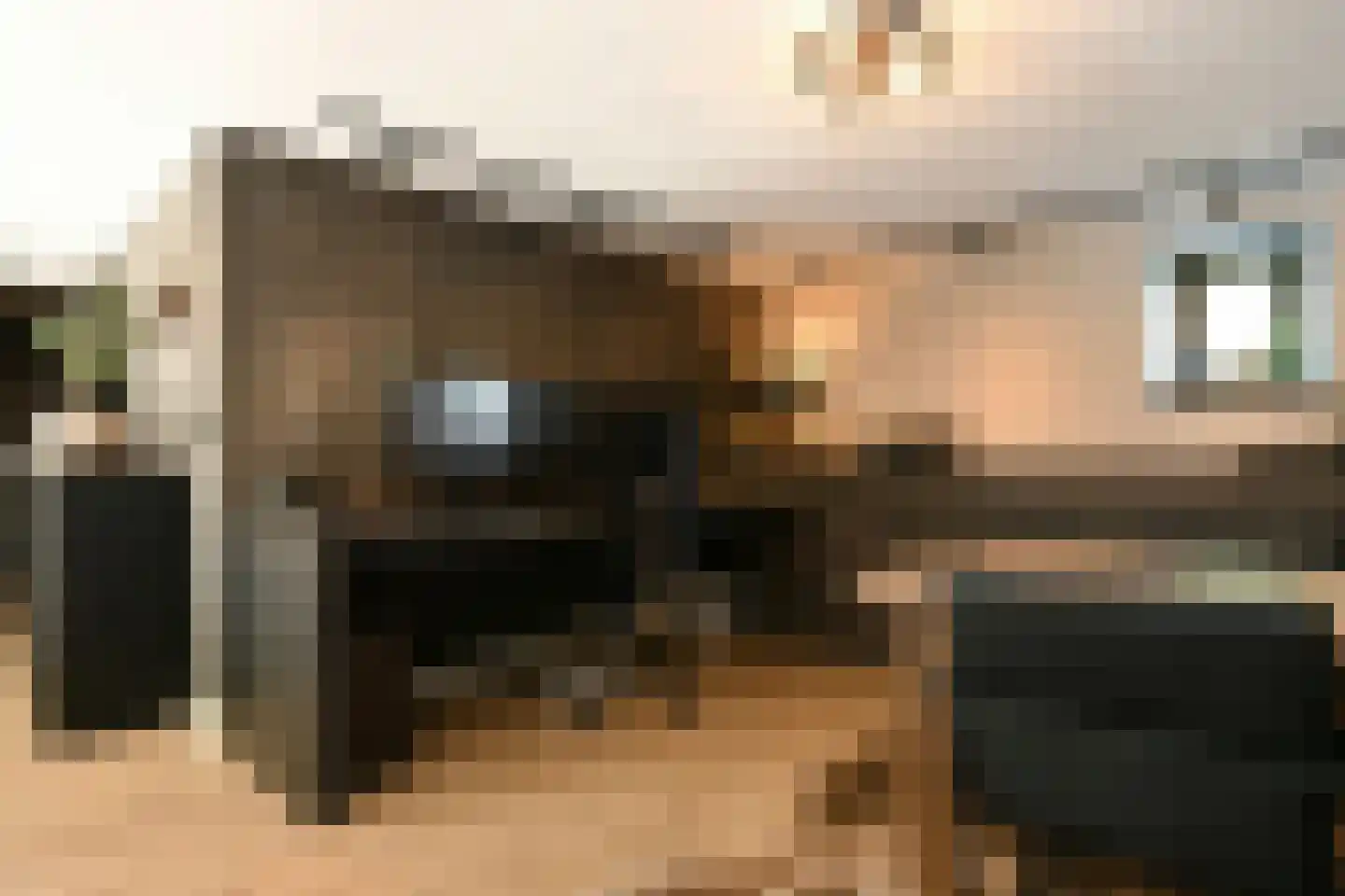 Pollaertshof 13 Grathem thumbnail 19