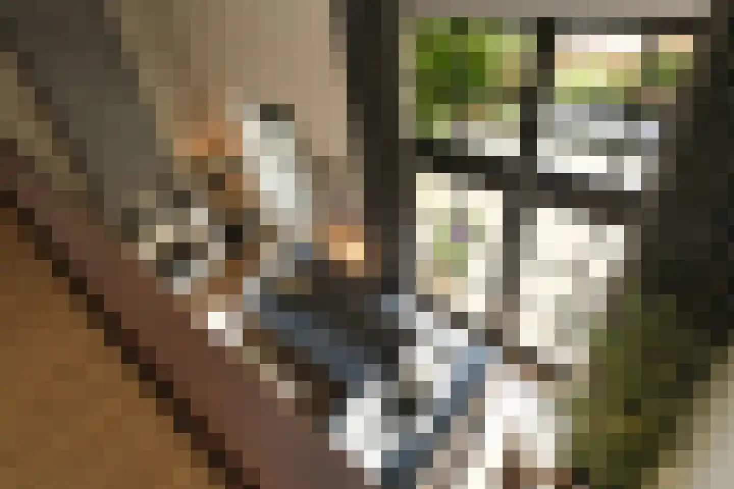 Pollaertshof 13 Grathem thumbnail 25