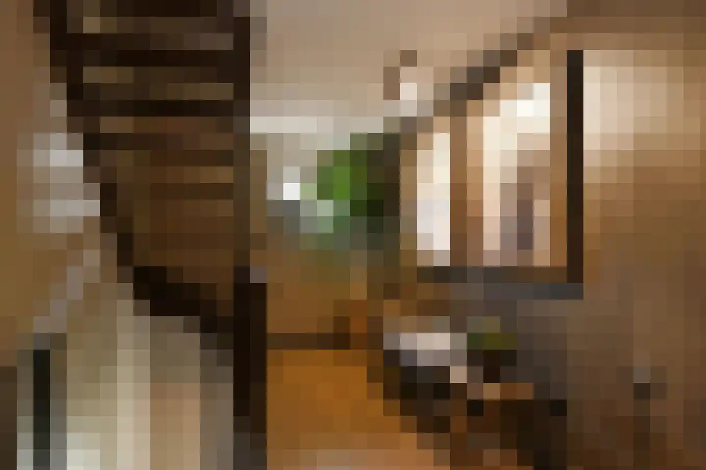 Pollaertshof 13 Grathem thumbnail 29