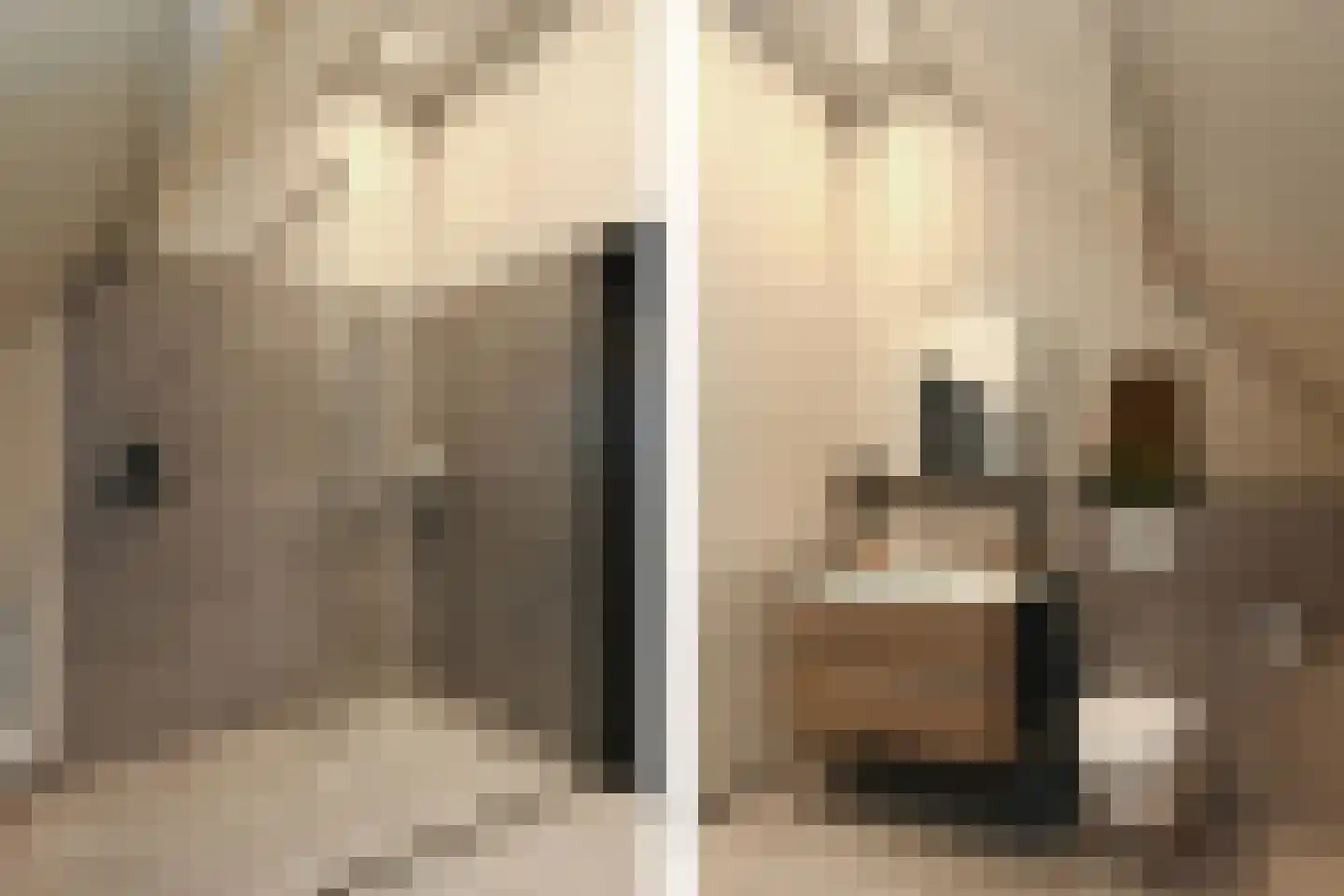 Pollaertshof 13 Grathem thumbnail 30