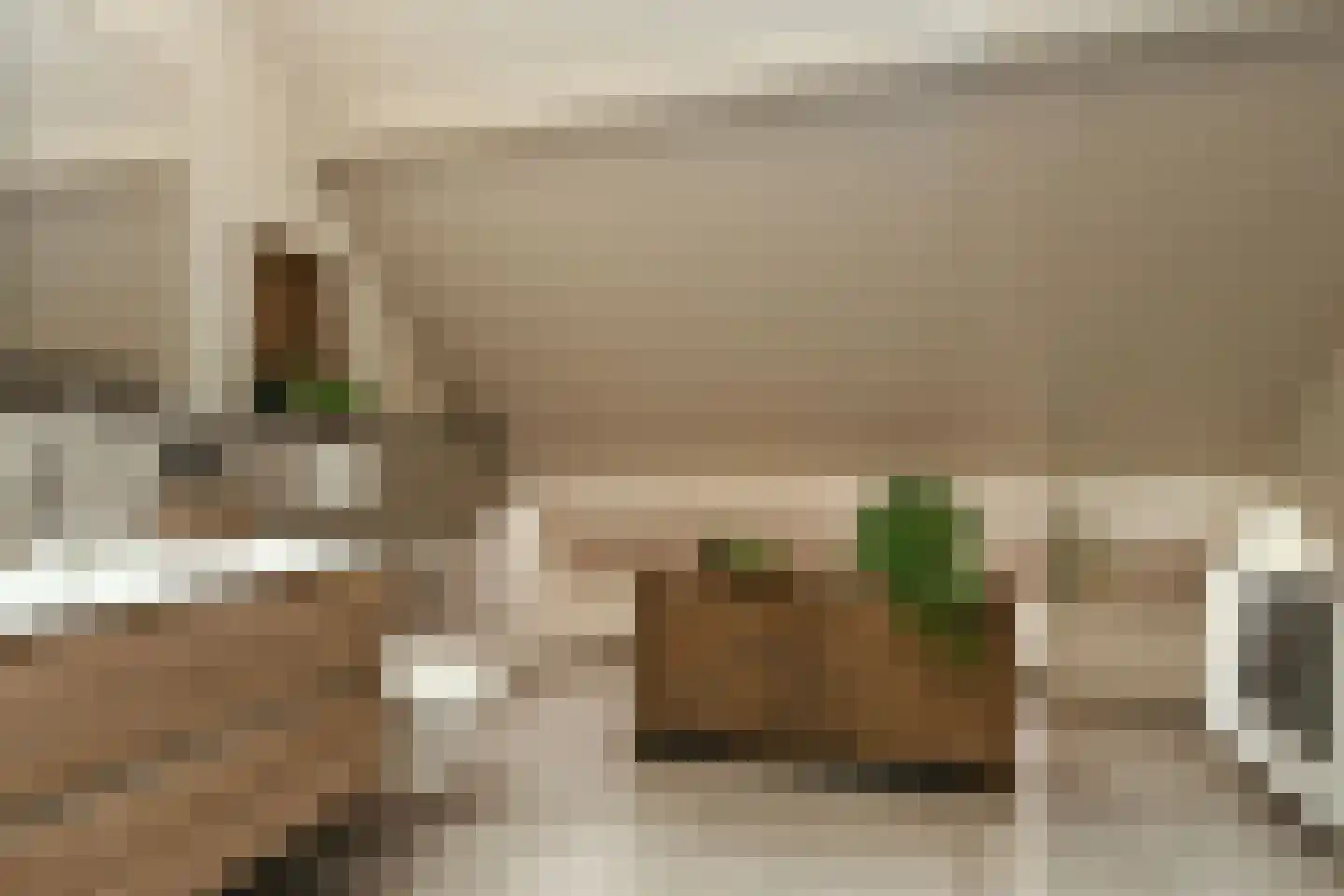 Pollaertshof 13 Grathem thumbnail 31