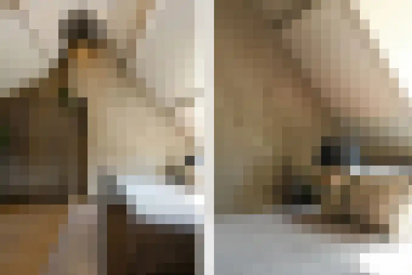 Pollaertshof 13 Grathem thumbnail 32