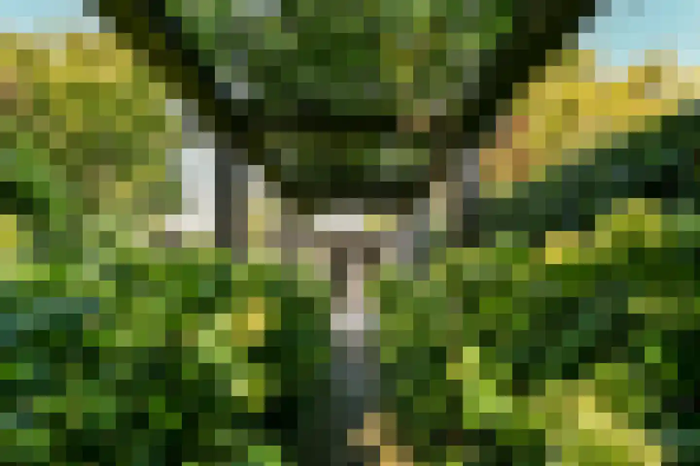 Pollaertshof 13 Grathem thumbnail 4