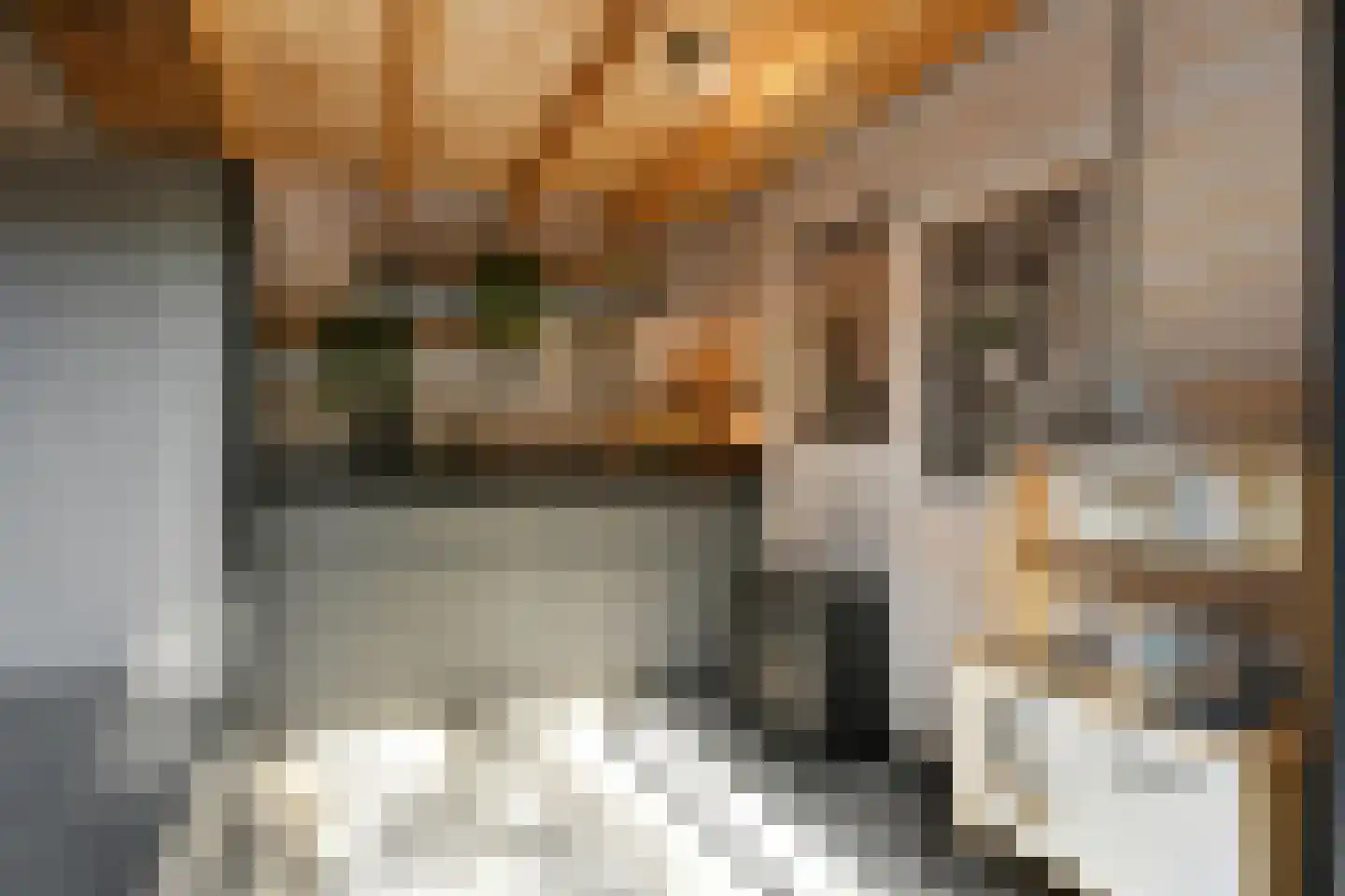 Pollaertshof 13 Grathem thumbnail 42
