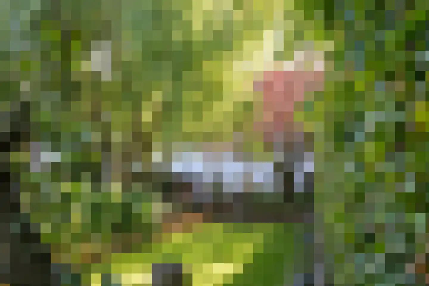 Pollaertshof 13 Grathem thumbnail 46