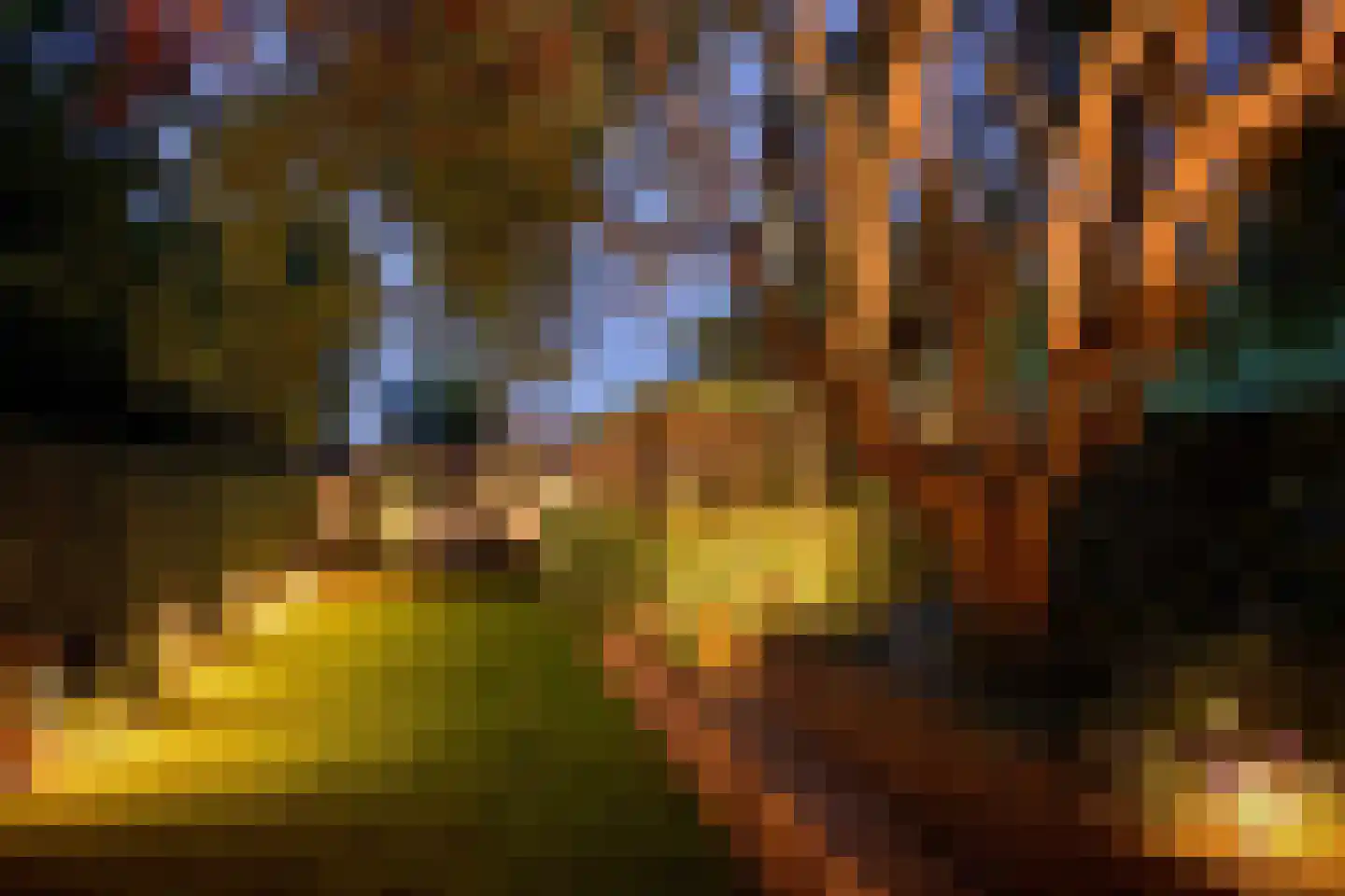 Pollaertshof 13 Grathem thumbnail 47