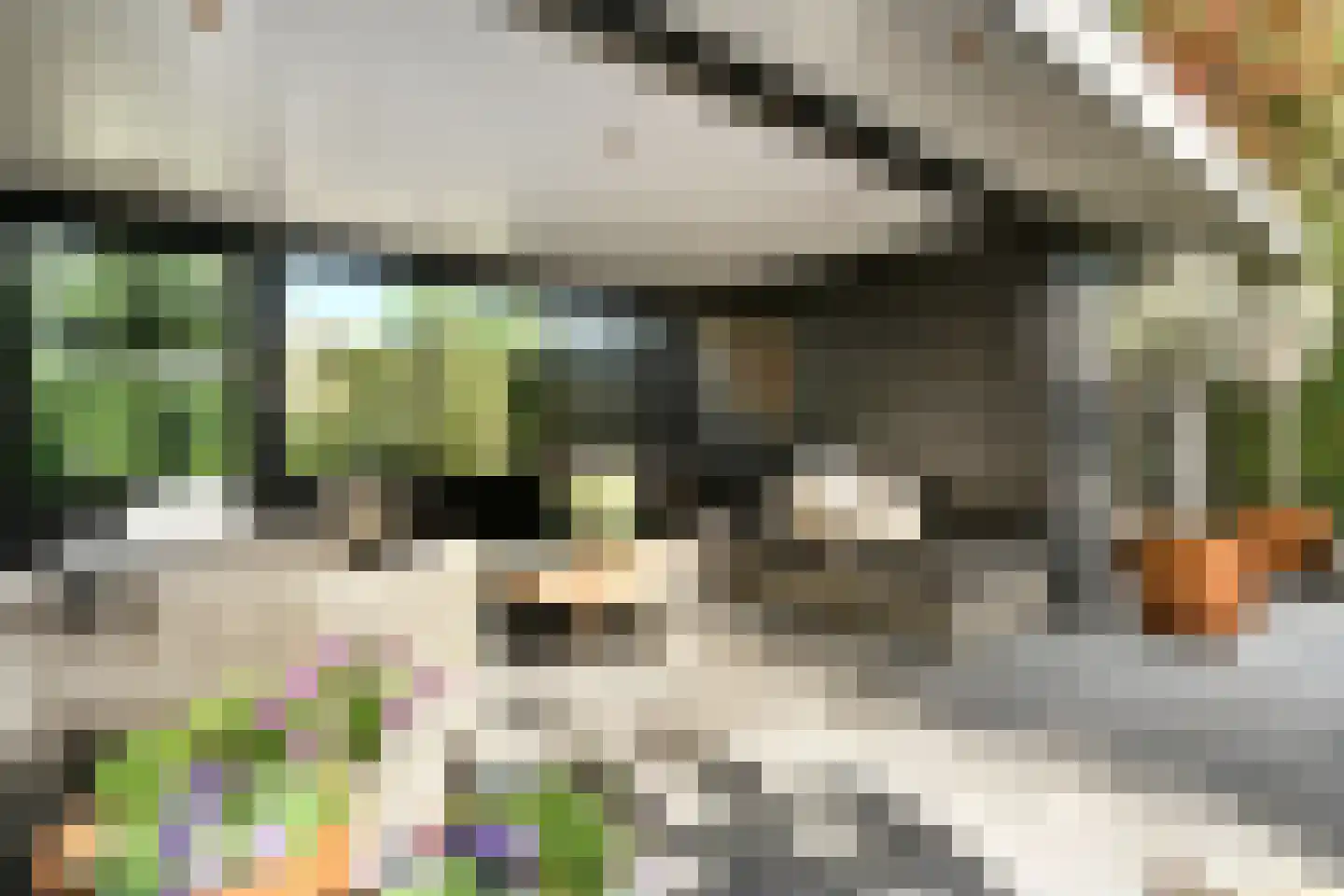 Pollaertshof 13 Grathem thumbnail 5