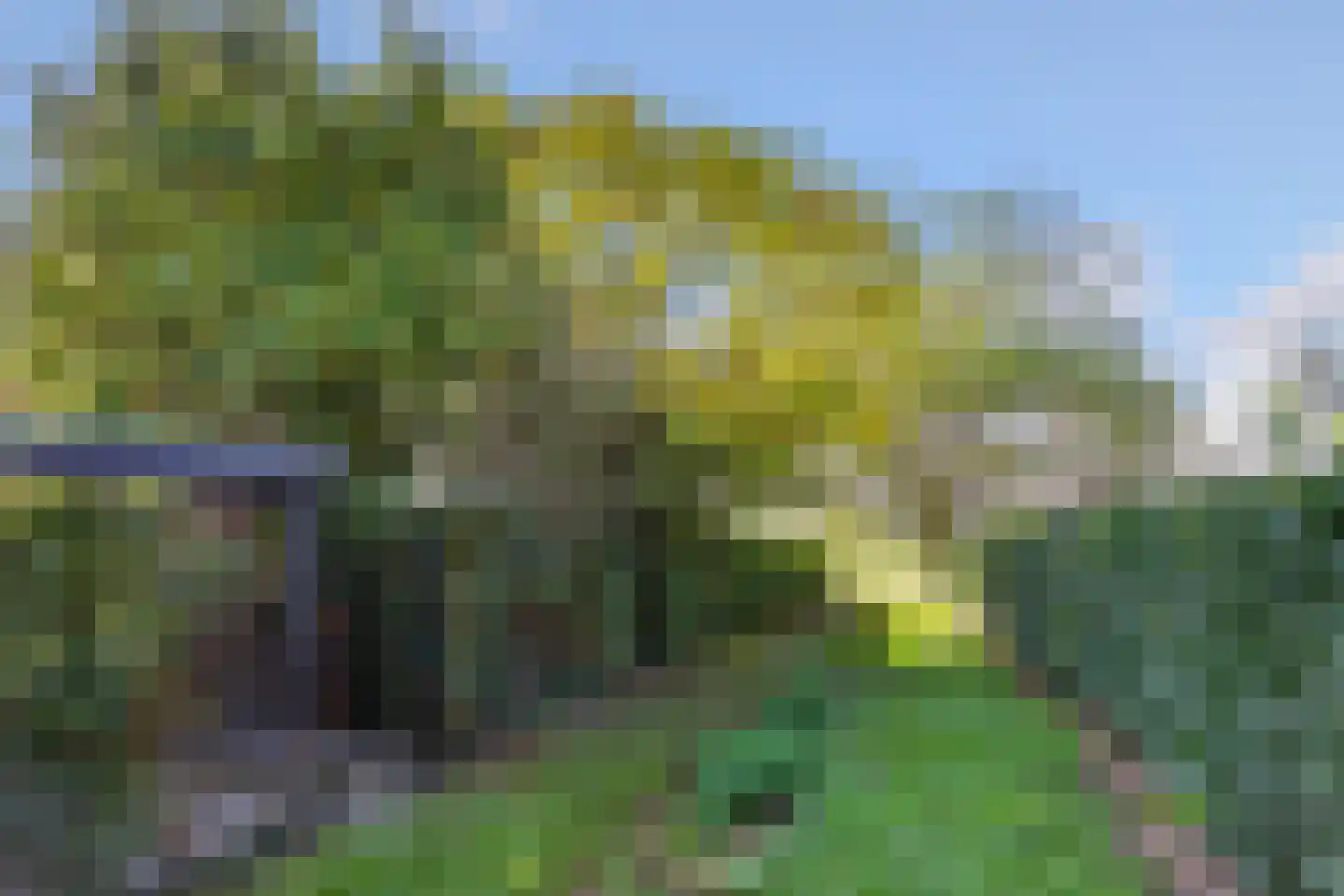 Pollaertshof 13 Grathem thumbnail 50