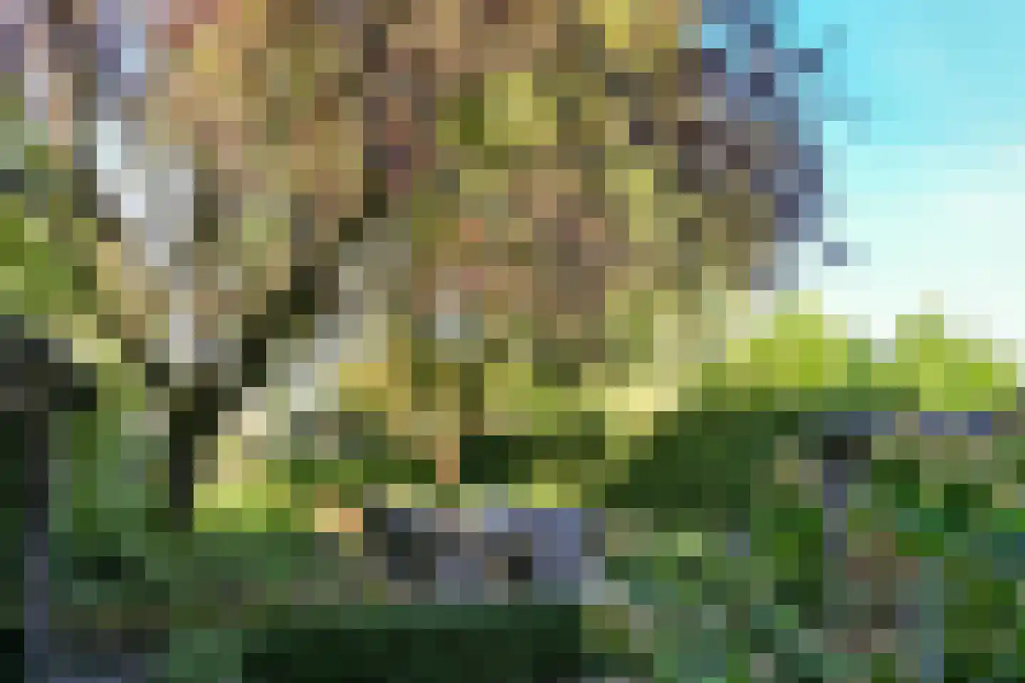 Pollaertshof 13 Grathem thumbnail 51