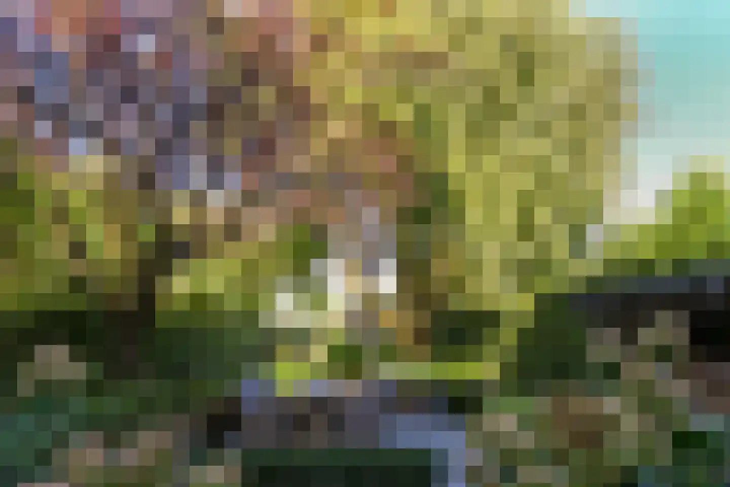 Pollaertshof 13 Grathem thumbnail 52