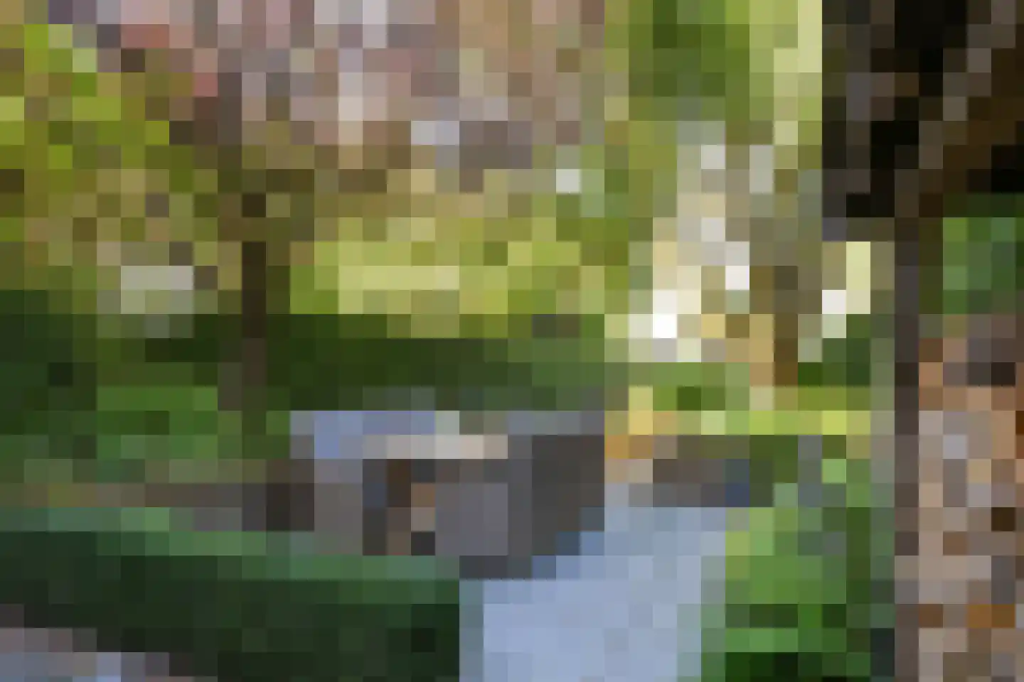 Pollaertshof 13 Grathem thumbnail 53