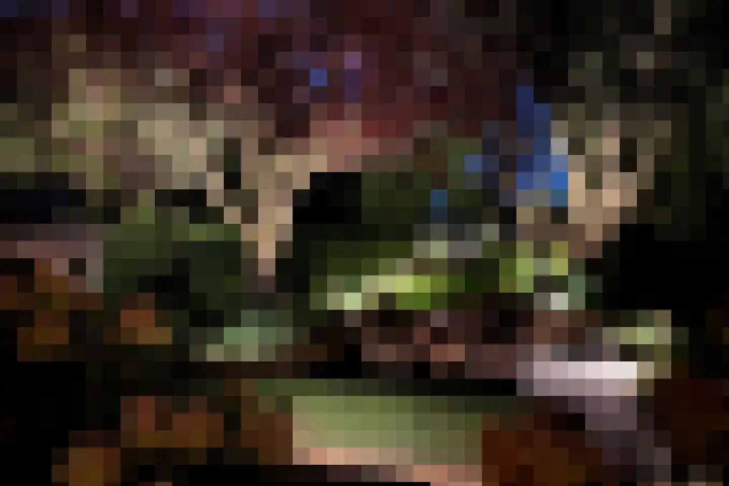 Pollaertshof 13 Grathem thumbnail 54