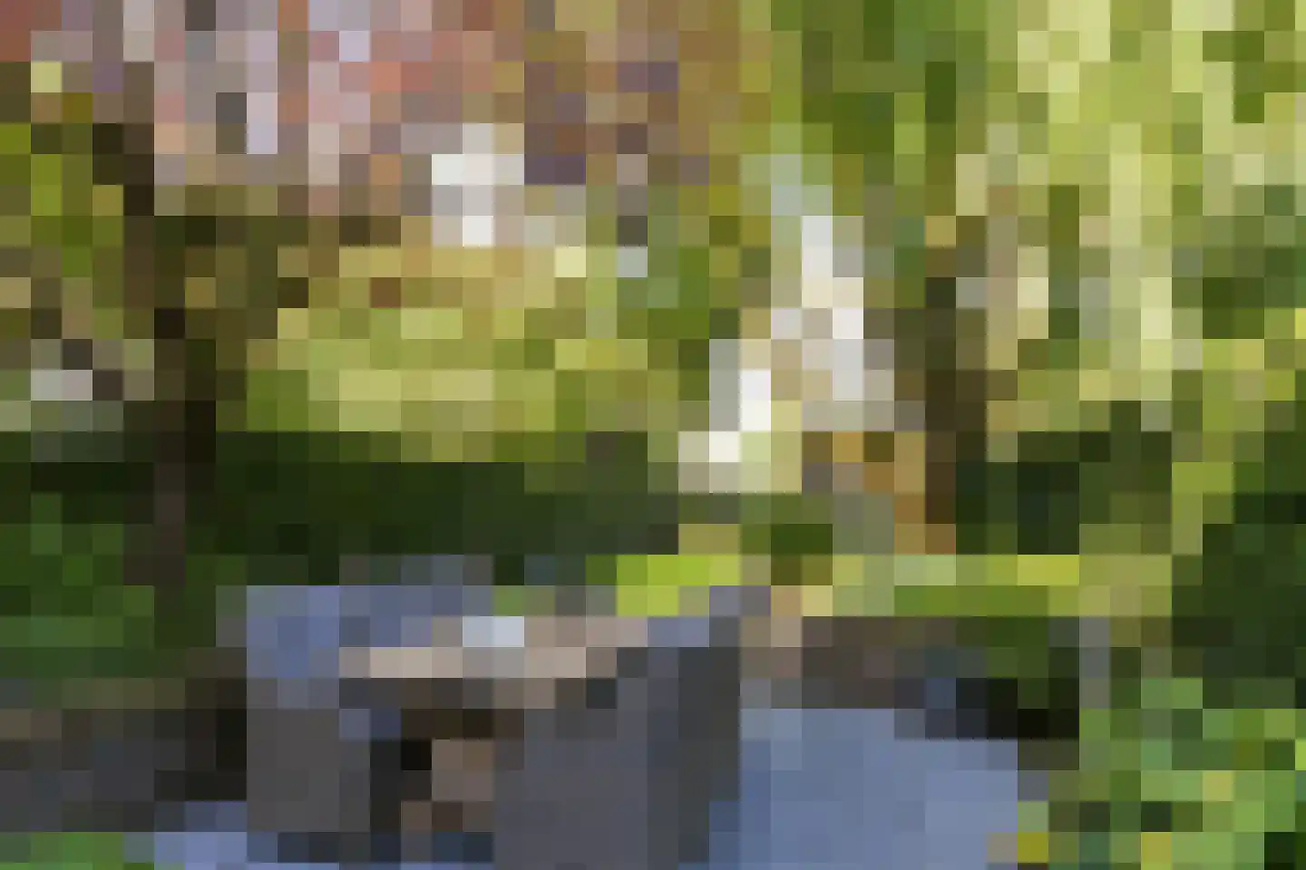 Pollaertshof 13 Grathem thumbnail 55