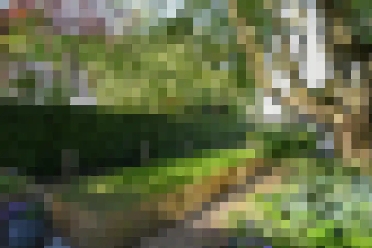 Pollaertshof 13 Grathem thumbnail 57