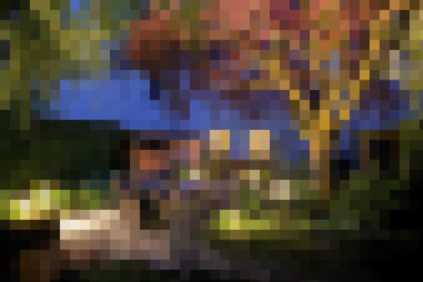 Pollaertshof 13 Grathem thumbnail 58