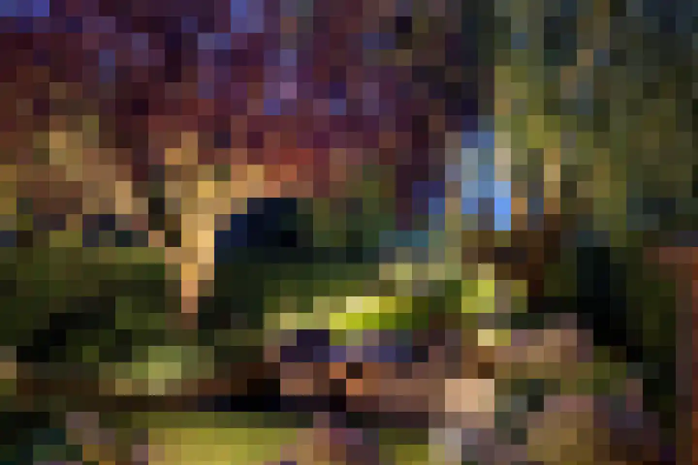 Pollaertshof 13 Grathem thumbnail 59