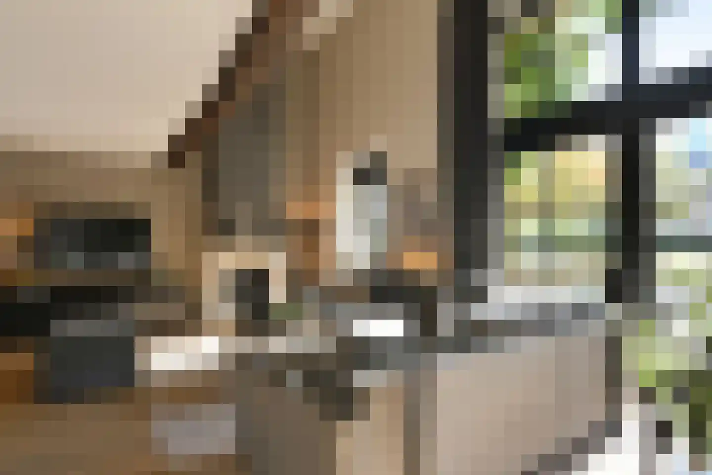 Pollaertshof 13 Grathem thumbnail 7