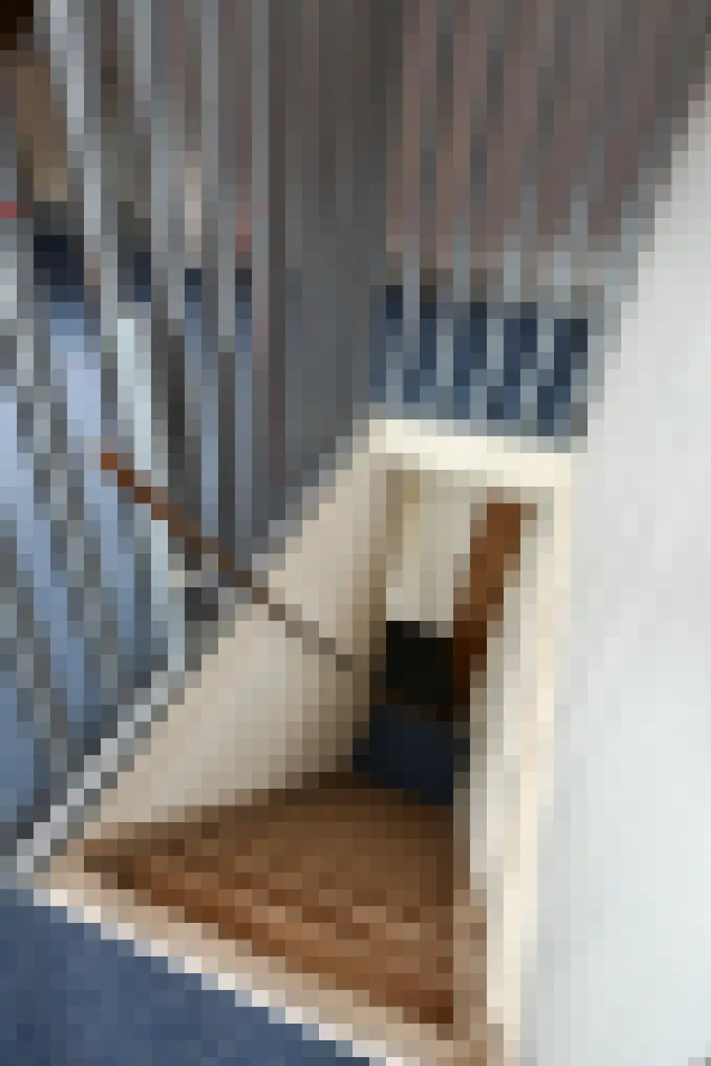 Pollartstraat 11 Roermond thumbnail 28