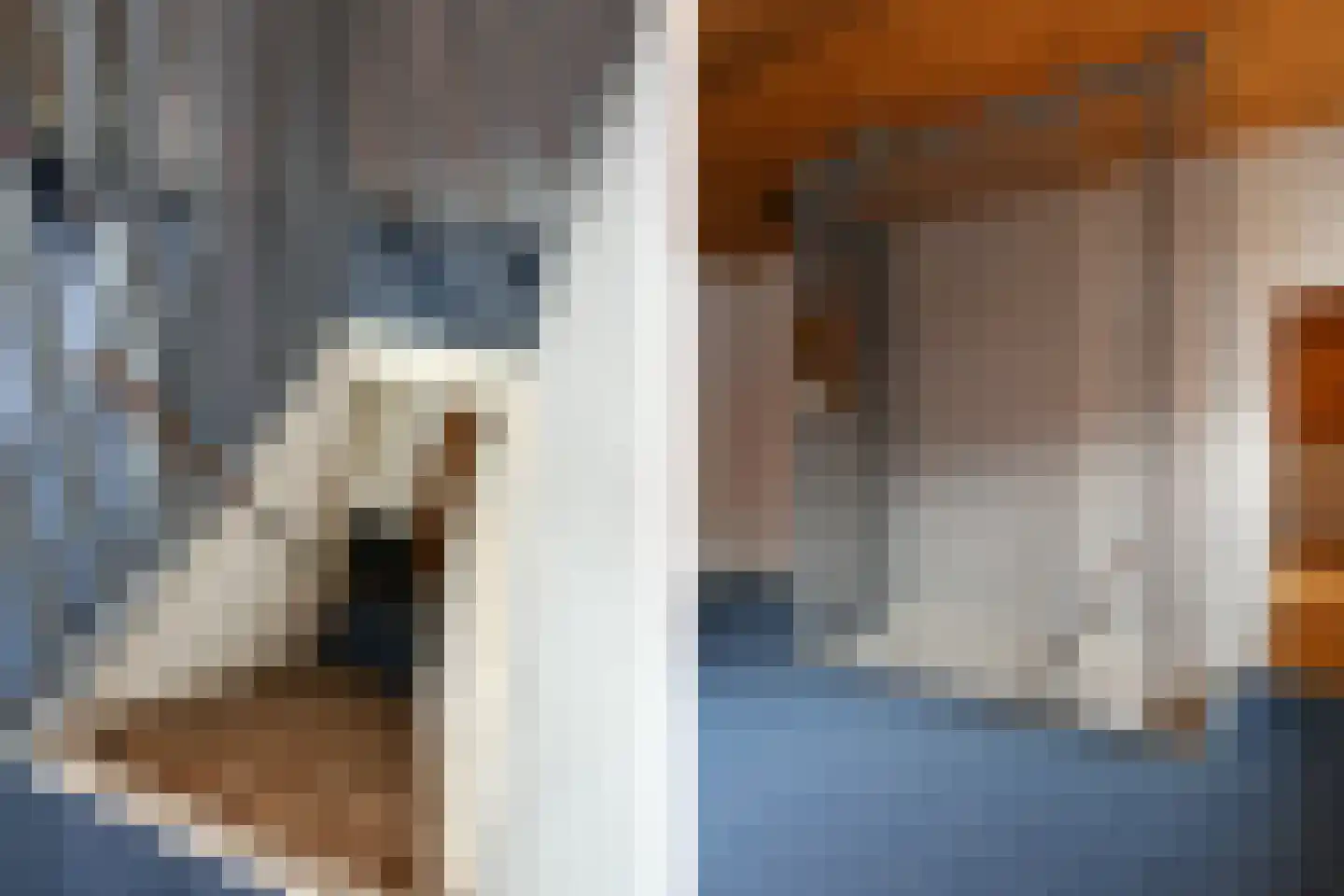 Pollartstraat 11 Roermond thumbnail 30