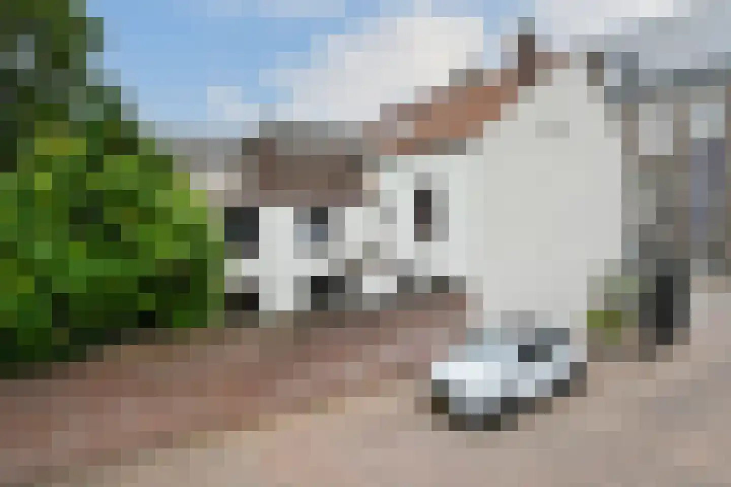 Pollartstraat 11 Roermond thumbnail 34