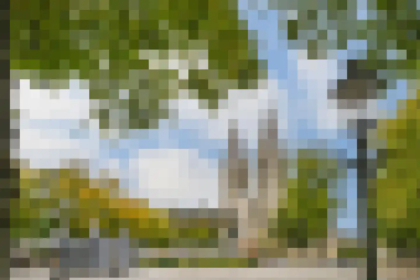 Pollartstraat 11 Roermond thumbnail 36