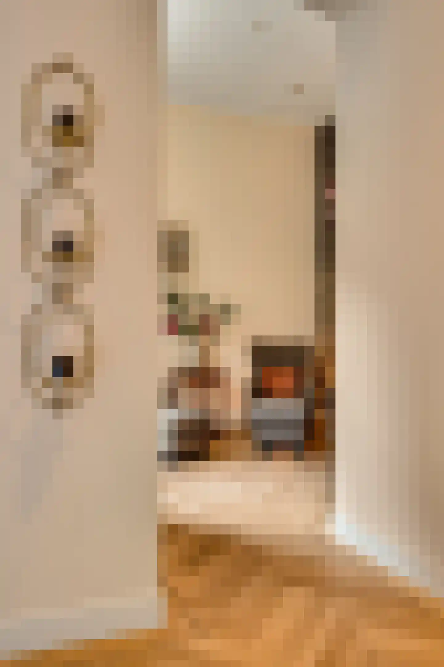 Pollartstraat 3 A Roermond thumbnail 13